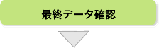 最終データ確認